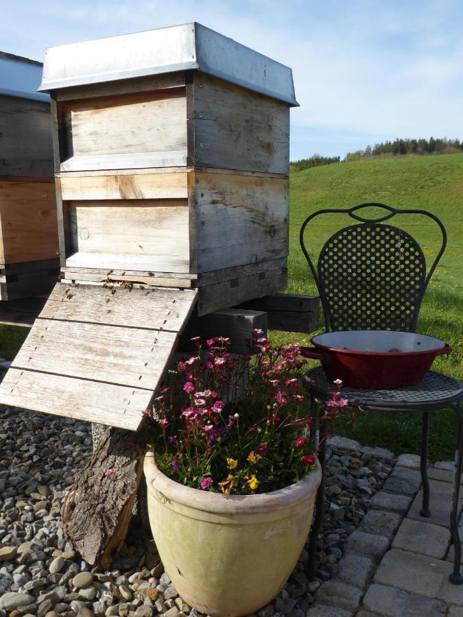 Erholungsraum Karsee - Ferienwohnung Wangen im Allgäu Exterior foto